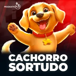 Cachorro Sortudo