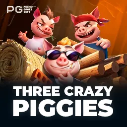 Three Crazy Piggies