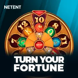 Turn Your Fortune